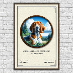 American English Coonhound Zoologi Serie Poster
