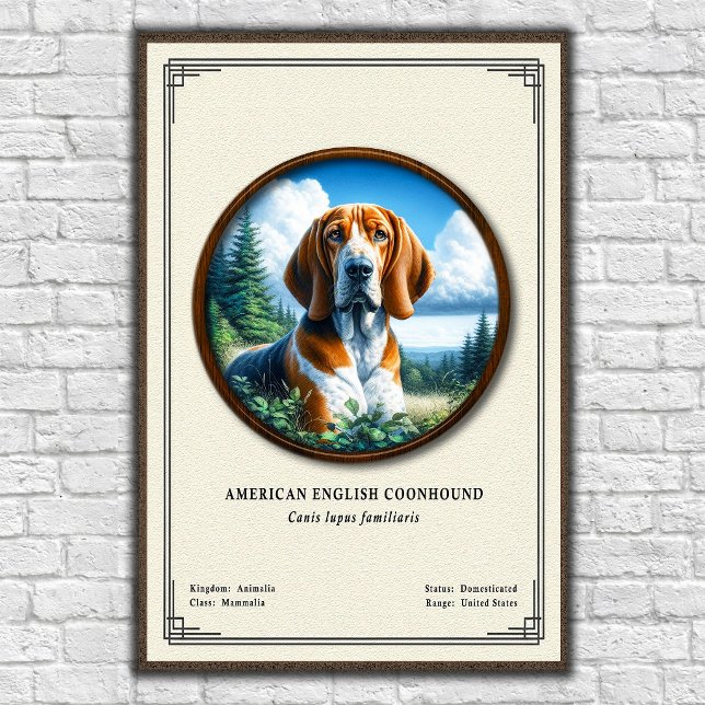 American English Coonhound Zoologi Serie Poster (Skapare uppladdad)