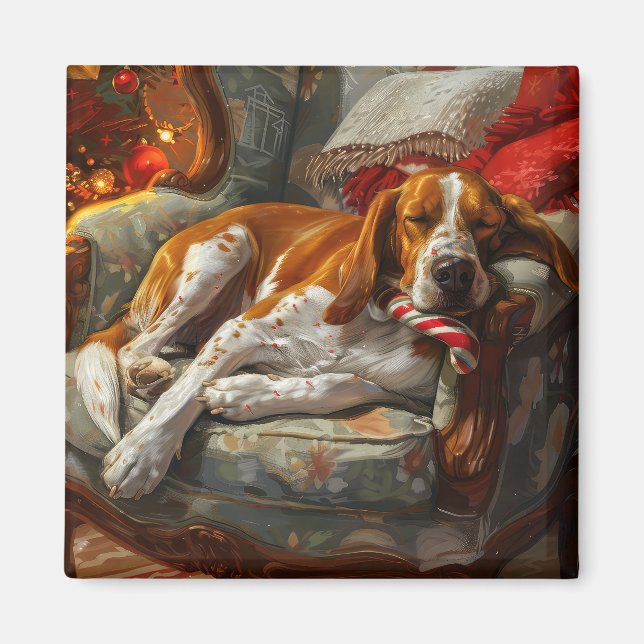 American English Foxhound Hund jul Festive Magnet (Framsidan)