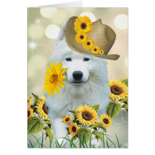 American Eskimo Daisy Hund Hälsningskort