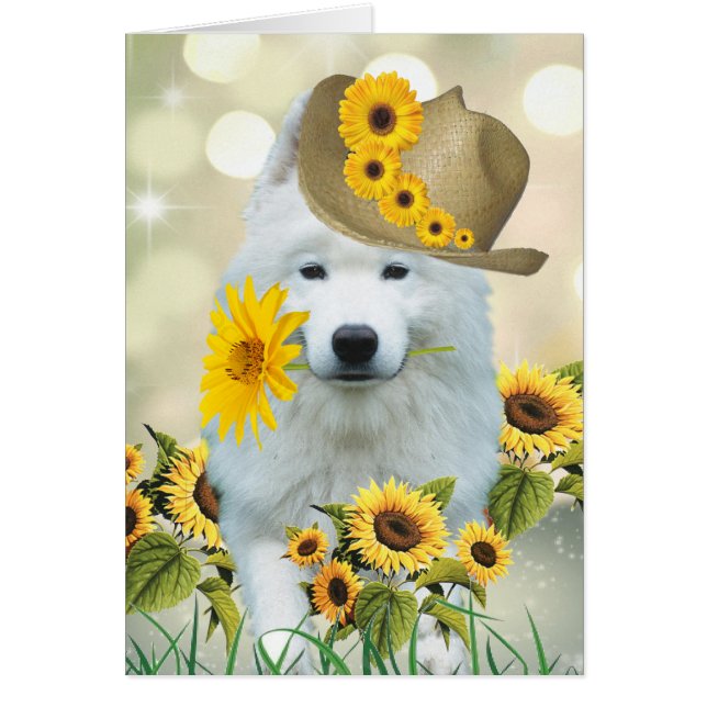 American Eskimo Daisy Hund Hälsningskort (Framsidan)