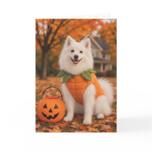 American Eskimo Dog Halloween-kort