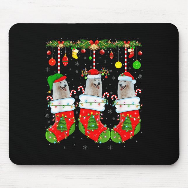 American Eskimo Dog In Christmas Socks Funny Dog L Musmatta (Framsidan)