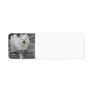 American_Eskimo_Dog_love w pic Returadress Etikett