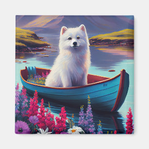 American Eskimo Dog på paddel: Ett naturskönt även Magnet