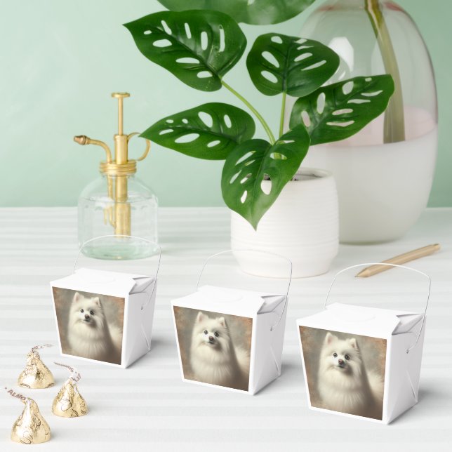 American Eskimo Dog Presentaskar (Multipel)