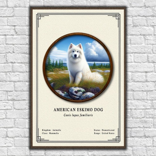 American Eskimo Dog Zoology Series Poster (Skapare uppladdad)