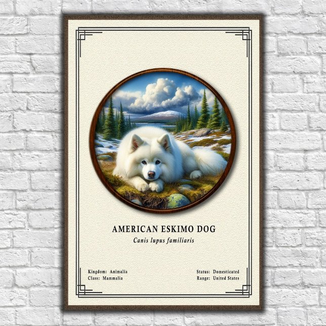 American Eskimo Dog Zoology Series Poster (Skapare uppladdad)