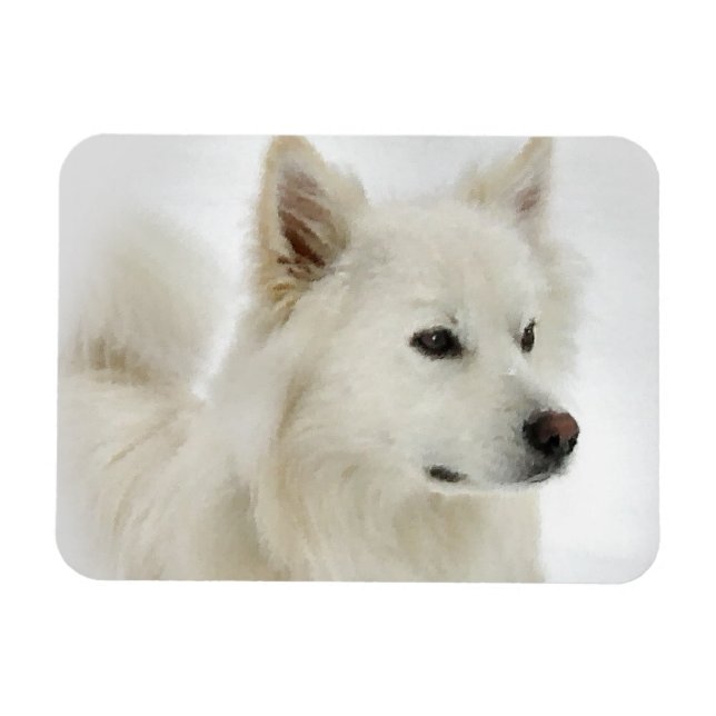 American Eskimo Hund Art Magnet (Horisontell)