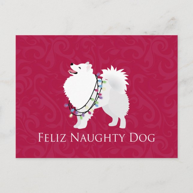 American Eskimo Hund Feliz Naughty Hund jul Helg Vykort (Framsida)