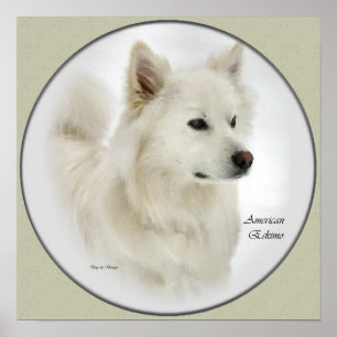 American Eskimo Hund Gifts Art Poster