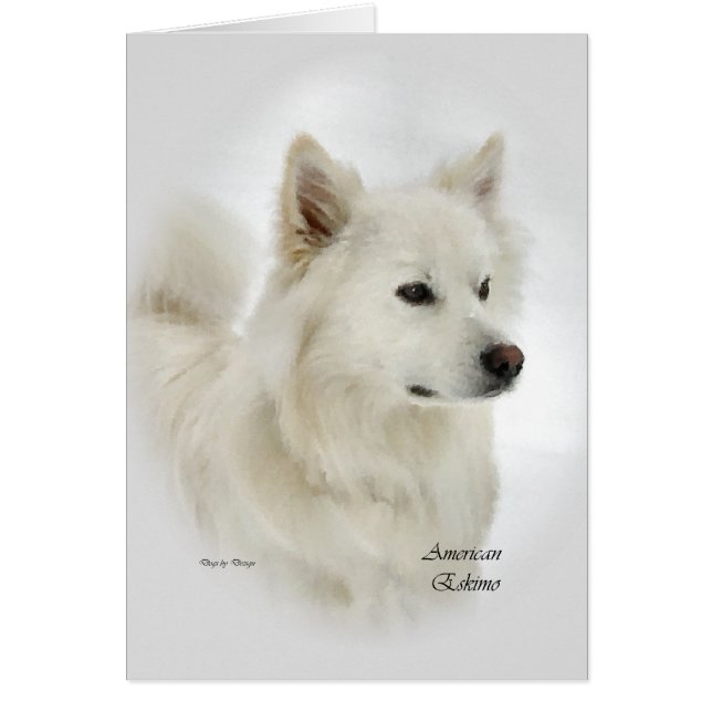 American Eskimo Hund Gifts OBS Kort (Framsidan)