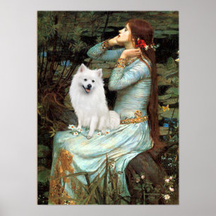 American Eskimo Hund - Ophelia Seed Poster