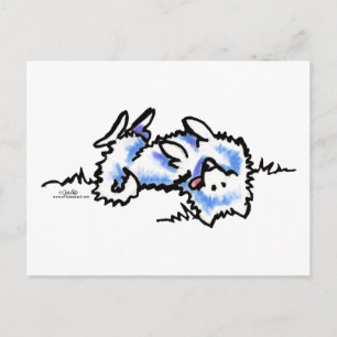 American Eskimo Hund Play Dead Vykort
