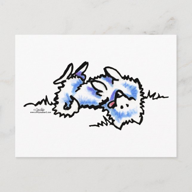 American Eskimo Hund Play Dead Vykort (Framsida)