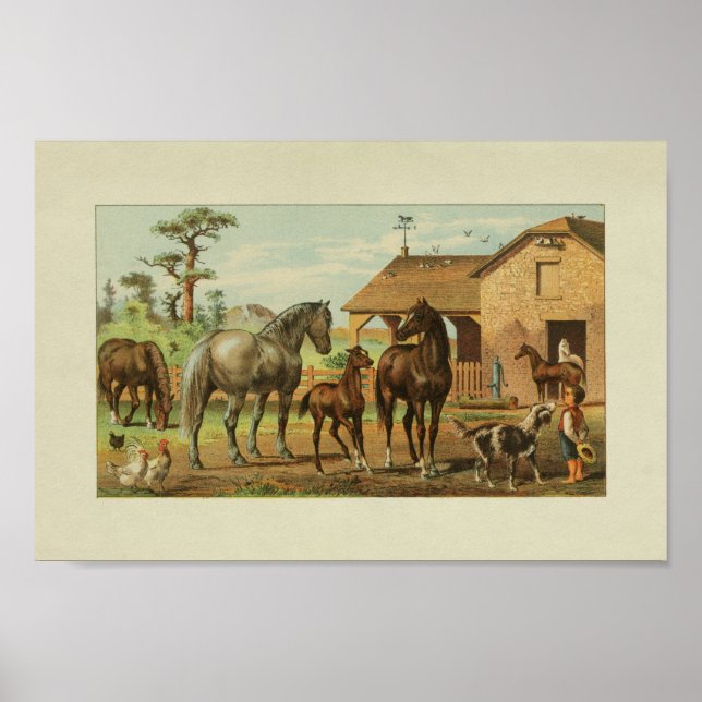 American Farmer Vintage Print Horses Hund Poster (Framsidan)
