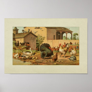 American Farmer Vintage Print Turkey Anka Poster