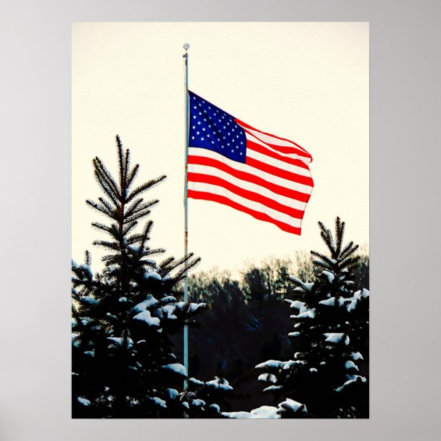 American Flag in Snow Poster (Framsidan)