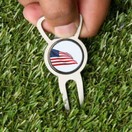 American Flagga 2412