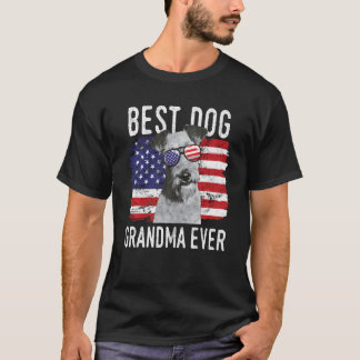 American Flagga Best Hund Grandma AldriIrish Terri T Shirt