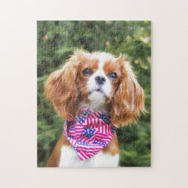 American Flagga Cavalier Kung Charles Spain Puppy Pussel