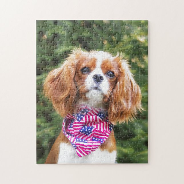 American Flagga Cavalier Kung Charles Spain Puppy Pussel (Vertikal)