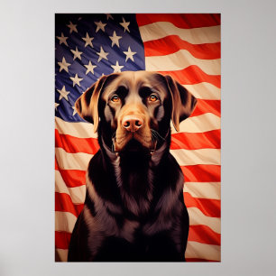 American Flagga Chocolate Labrador Poster