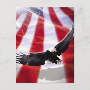 American Flagga & Eagle-inbjudan Inbjudningar