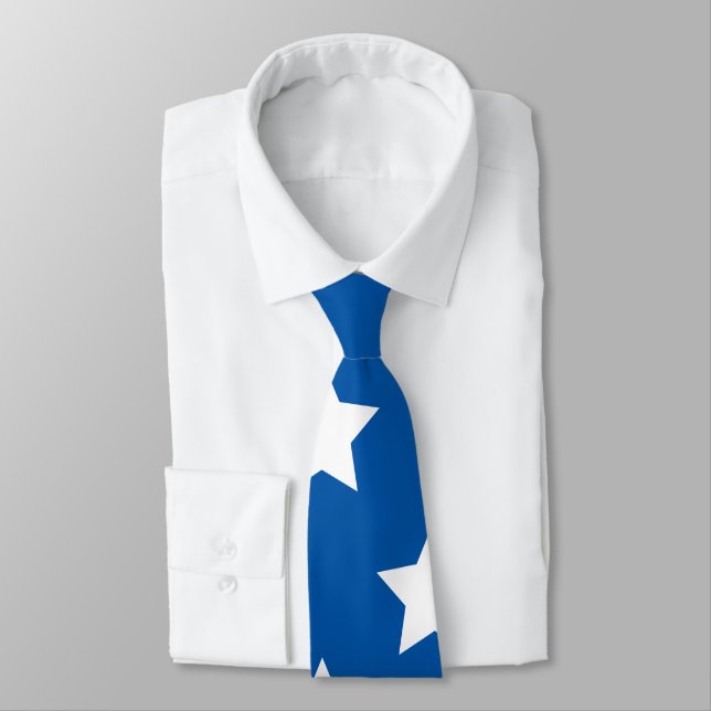 American Flagga Stars Slips (Bunden)