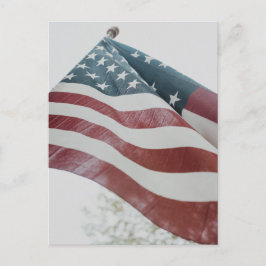 American Flagga-vykort Vykort