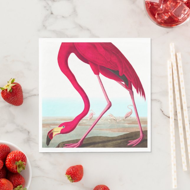 American Flamingo av John James Audubon Pappersservett (Insitu)