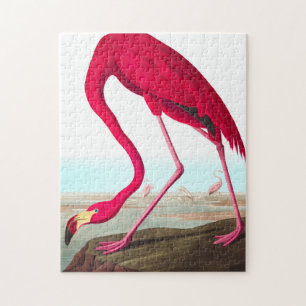 American Flamingo av John James Audubon Pussel