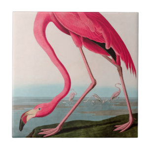 American Flamingo Birds of America Audubon Print Kakelplatta