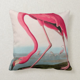 American Flamingo Birds of America Audubon Print Kudde
