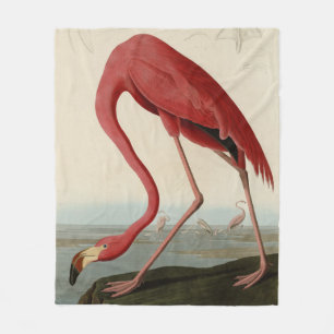 American Flamingo från Audubon's Birds of America Fleecefilt