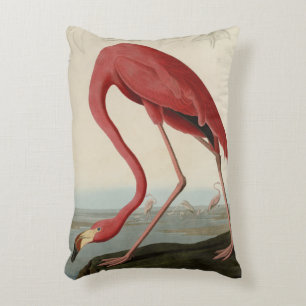 American Flamingo från Audubon's Birds of America Prydnadskudde