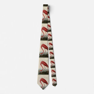 American Flamingo från Audubon's Birds of America Slips