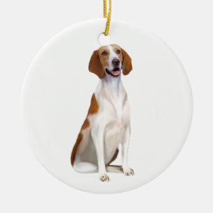 American Foxhound (A) Julgransprydnad Keramik