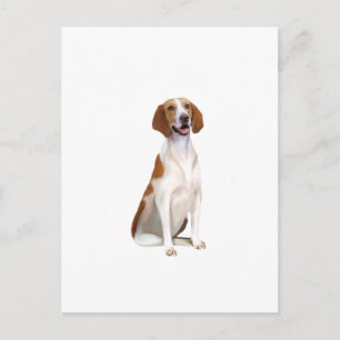 American Foxhound (A) Vykort