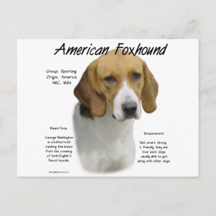 American Foxhound History, om Foxhound Vykort