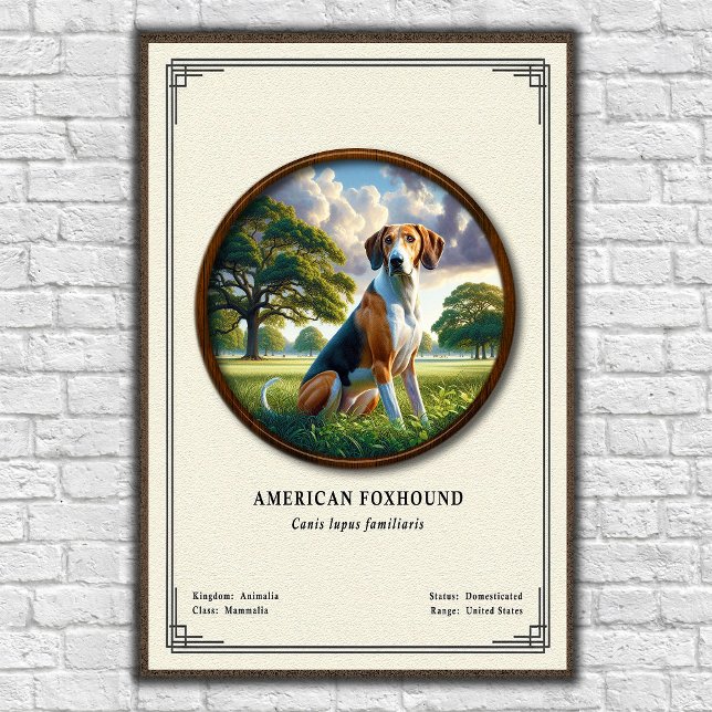 American Foxhound Zoologi Serie Poster (Skapare uppladdad)