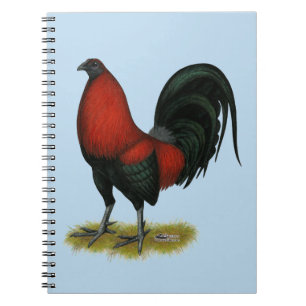 American Game BB Black Red Tupp Anteckningsbok Med Spiral