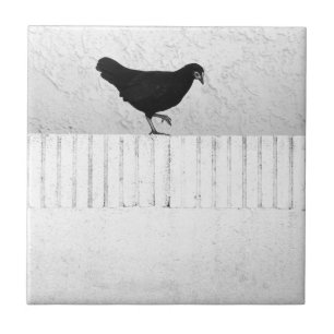 American Game Hen Kakelplatta
