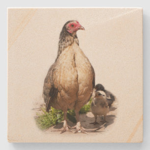 American Game Hen och Baby Chickens Underlägg Sten