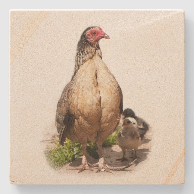 American Game Hen och Baby Chickens Underlägg Sten (Framsidan)