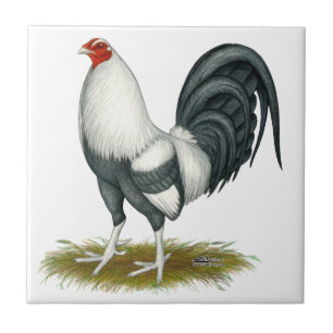 American Game Silver Blue Gamecock Kakelplatta