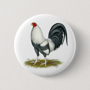 American Game Silver Blue Gamecock Knapp
