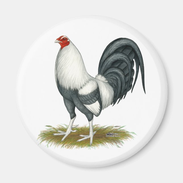 American Game Silver Blue Gamecock Magnet (Framsidan)