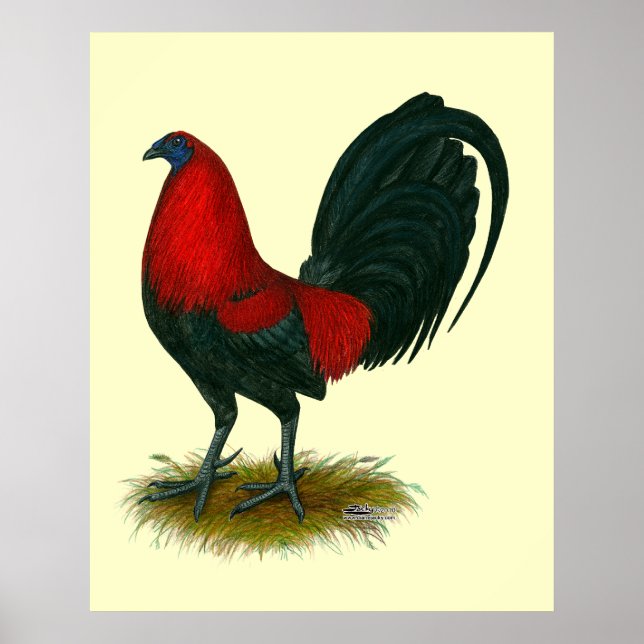 American Gamecock: Brown Red Poster (Framsidan)