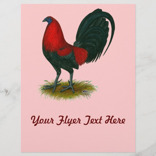 American Gamecock: Brown Red Reklamblad (Framsidan)